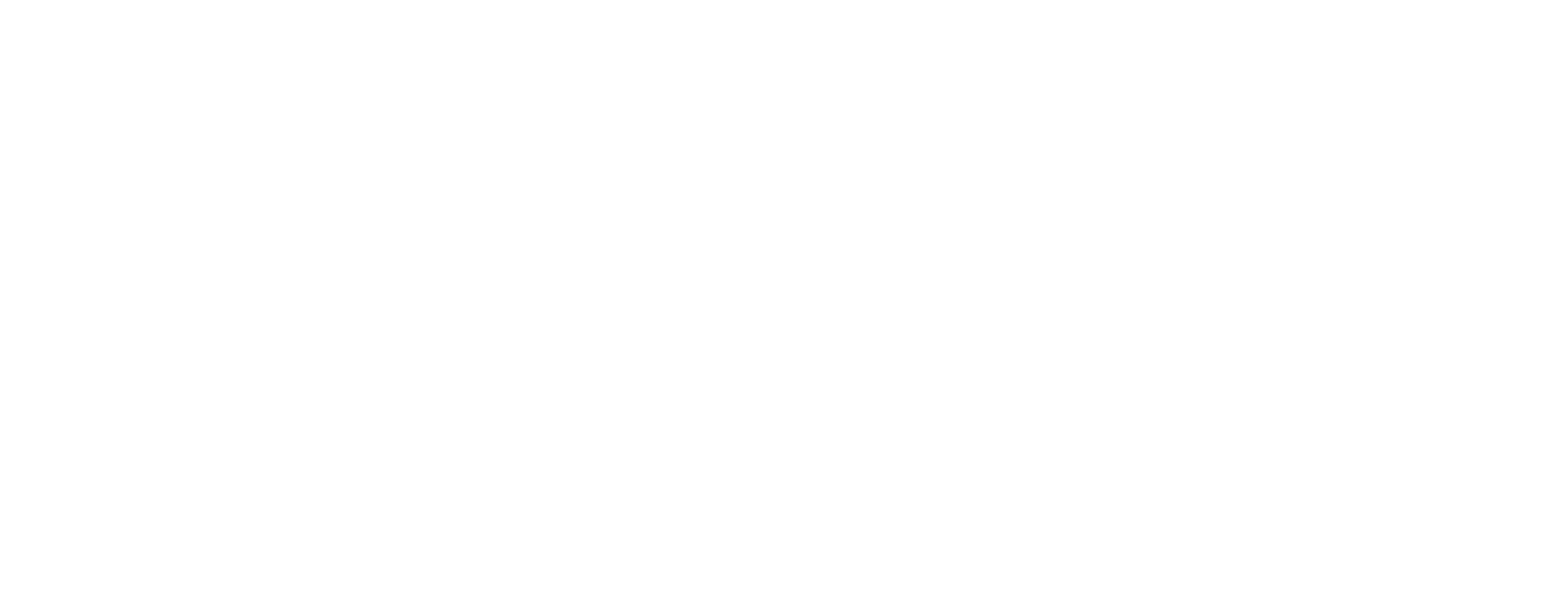 Stability Partners Financial